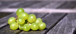 Imagem de uvas frescas relacionada à alíquota zerada para exportação em maio com o acordo UE-Mercosul