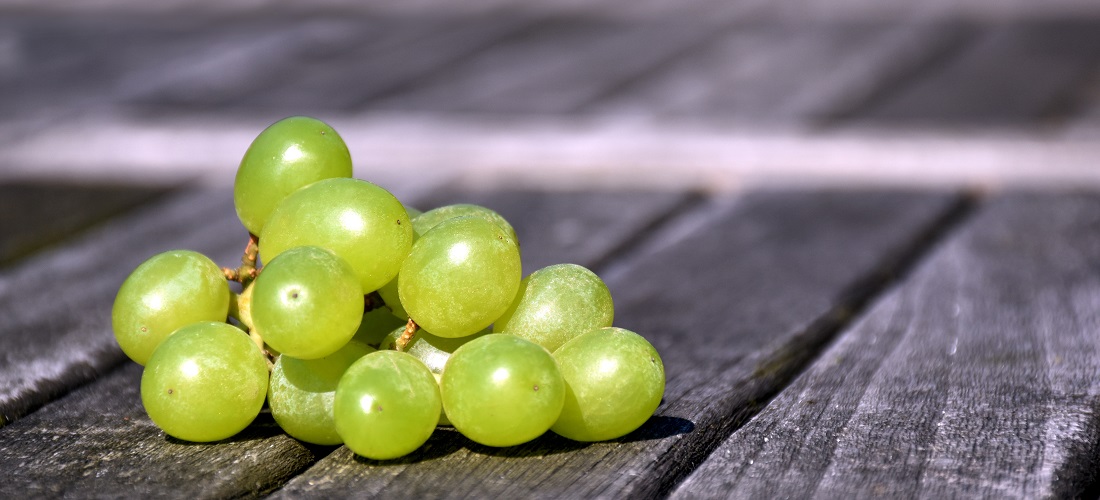 Imagem de uvas frescas relacionada à alíquota zerada para exportação em maio com o acordo UE-Mercosul